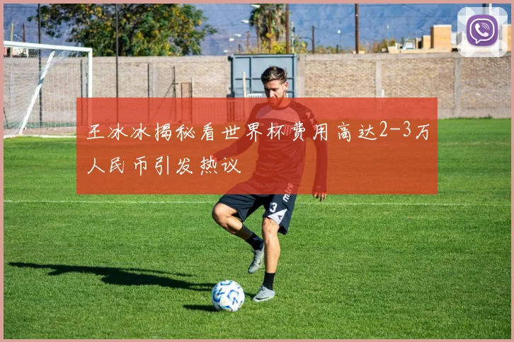 王冰冰揭秘看世界杯费用高达2-3万人民币引发热议