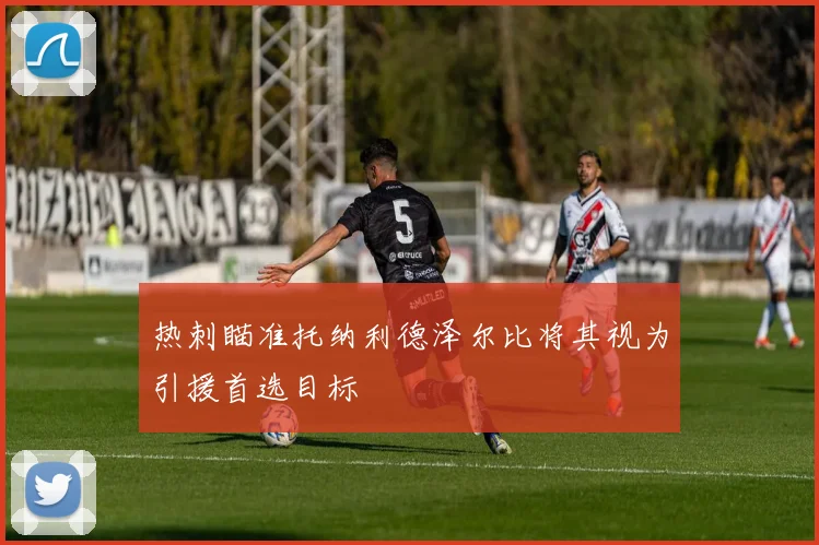 热刺瞄准托纳利德泽尔比将其视为引援首选目标